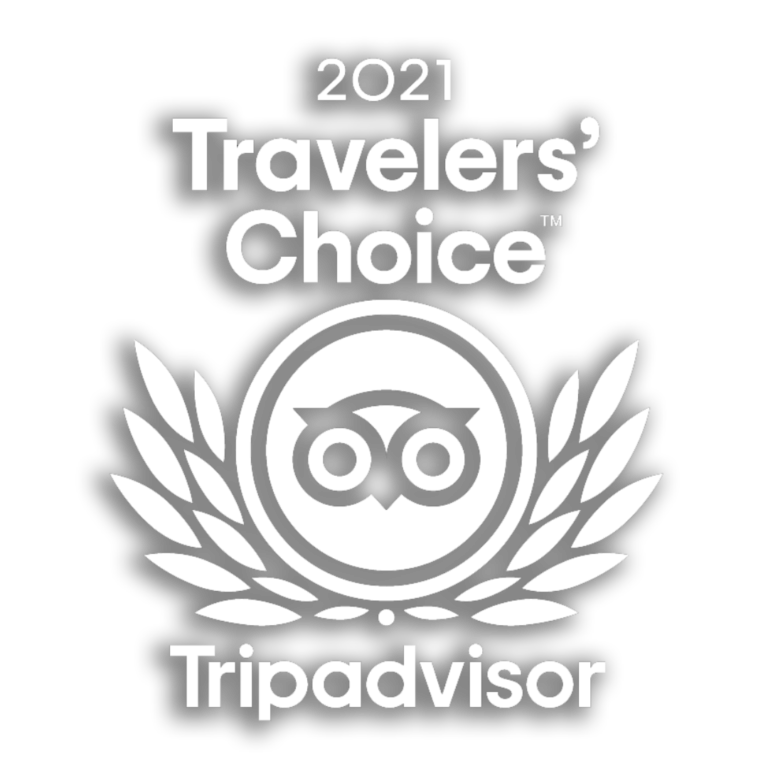 travelers choice award